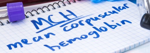 בדיקת רמת המוגלובין בתאי הדם - (Mean Corpuscular Hemoglobin -  MCH) - תמונה